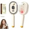 Electric Spray Air Cushion Massage Comb for Women